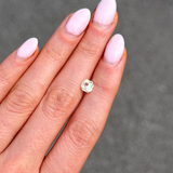 The Radiant Yellow Sapphire