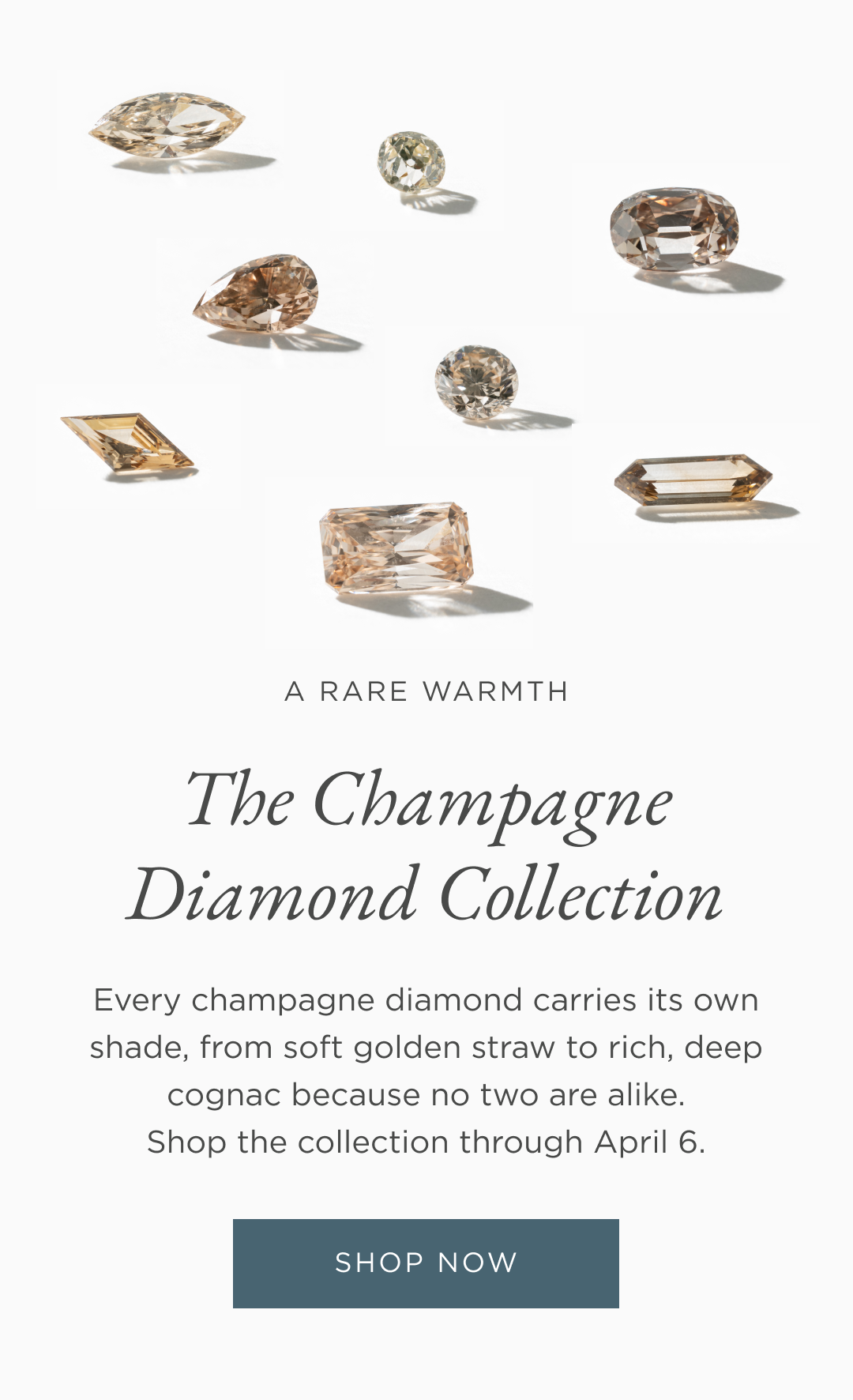 Champagne Diamond Launch