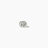 The Antique Delicate Diamond, No. V