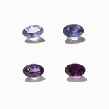 The Oval Umba Sapphire